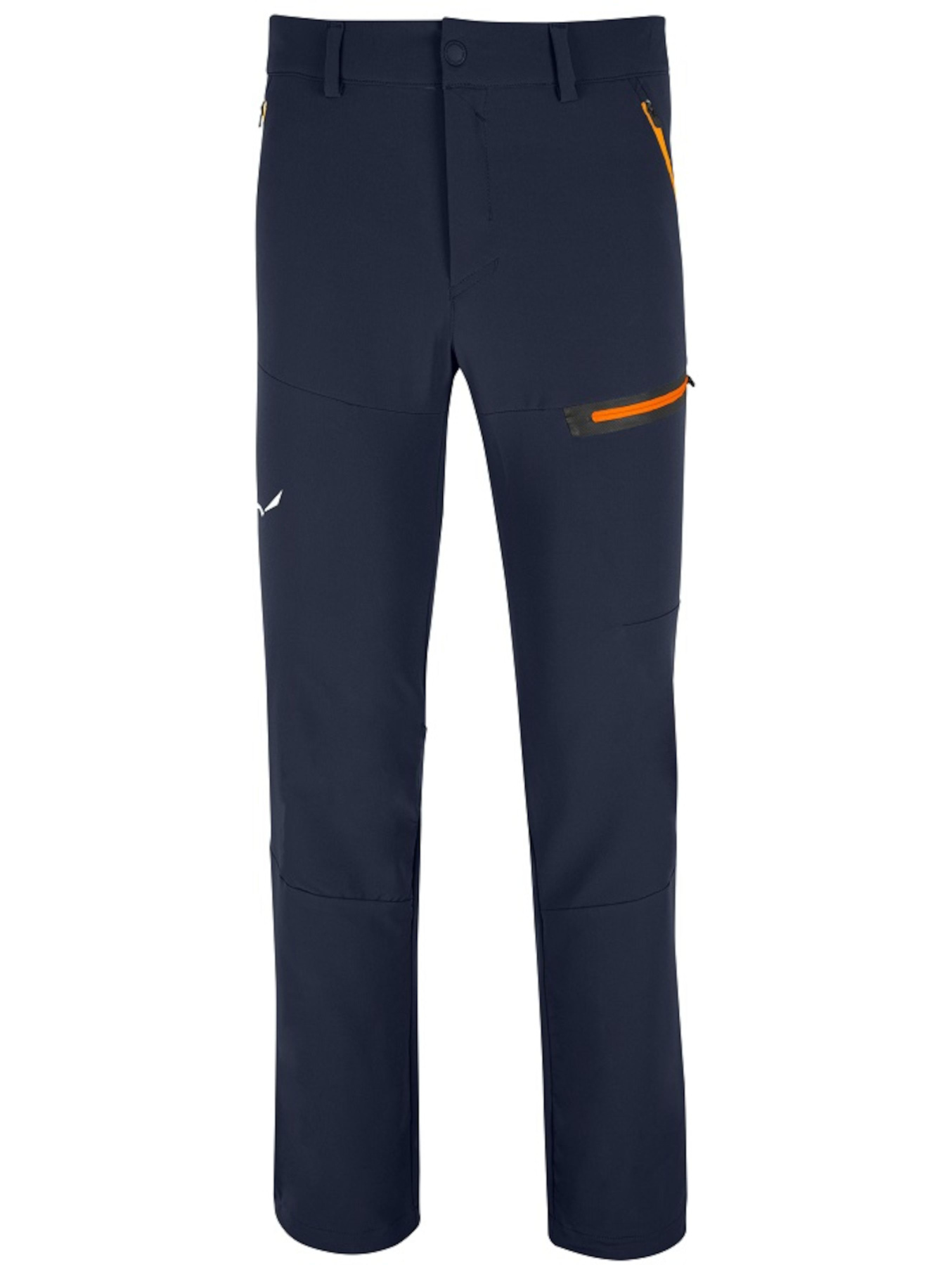 Штаны спортивные Salewa Terminal Pnt модель 100059343 Фото