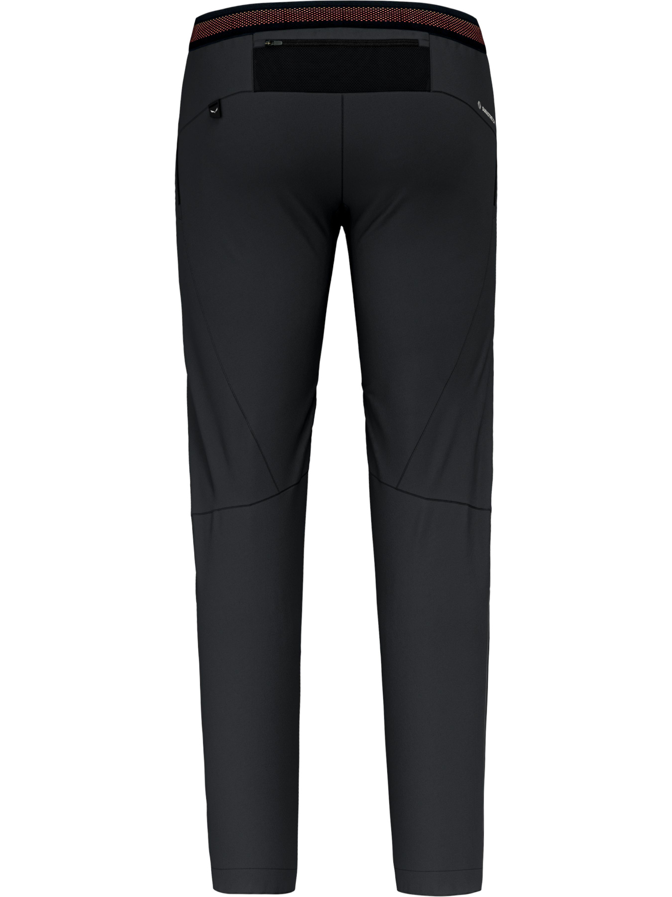 Штаны спортивные Salewa Pedroc 4 Dst Regular Pnt модель 100073536 Фото