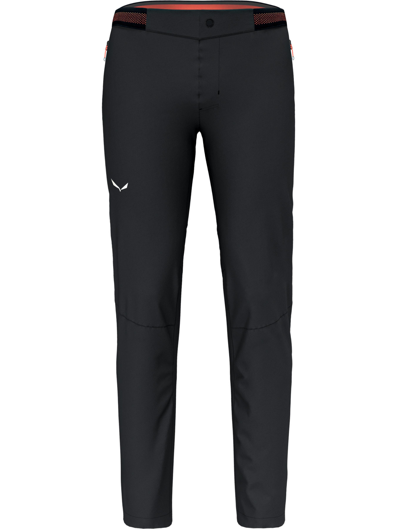 Штаны спортивные Salewa Pedroc 4 Dst Regular Pnt модель 100073536 Фото