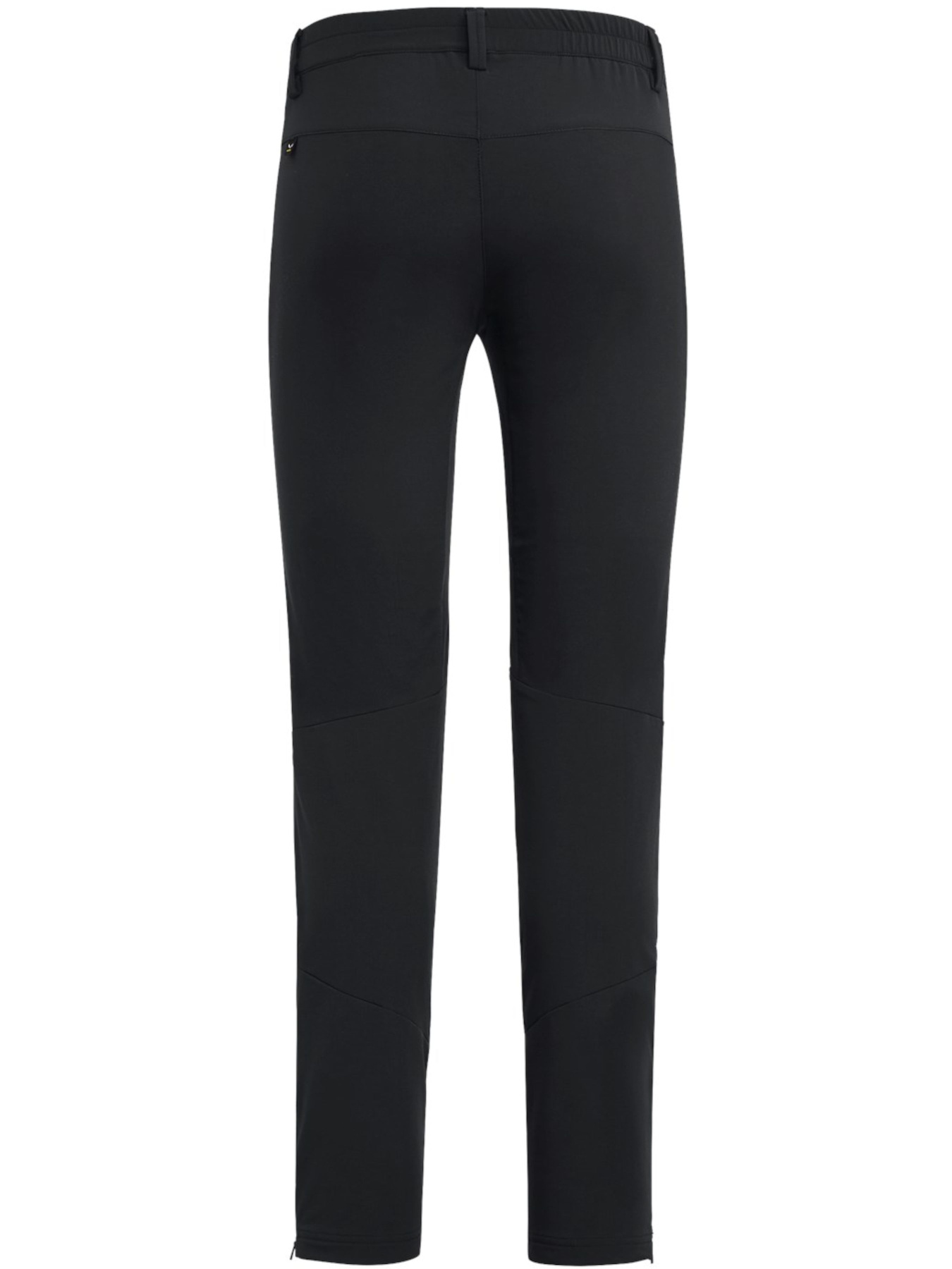 Штаны спортивные Salewa Puez Orval 2 Dst Pnt модель 100065711 Фото