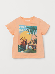 Футболка H&M модель 73951 Футболка H&M модель 73951 Фото