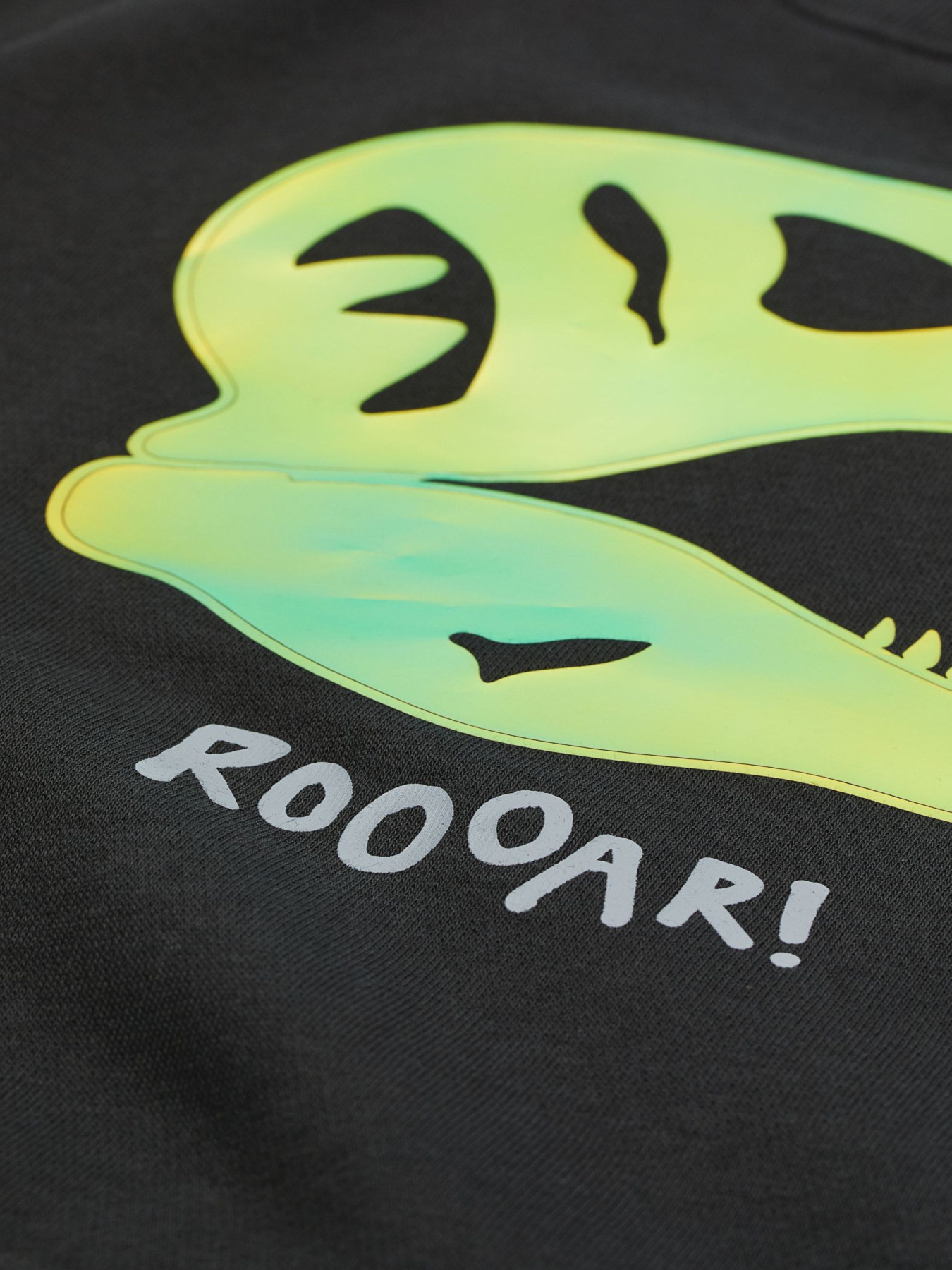 Світшот H&M модель 73961 Світшот H&M модель 73961 Фото