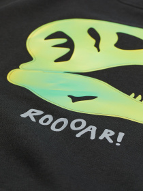 Світшот H&M модель 73961 Світшот H&M модель 73961 Фото