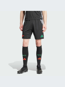 Шорты спортивные Adidas модель IT6149 Фото