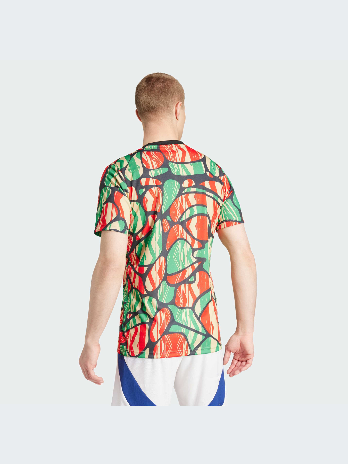 Спортивна футболка Adidas модель IS9996 Фото