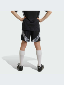 Шорты спортивные Adidas модель IS8123 Фото