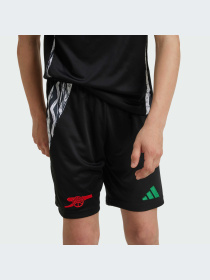 Шорты спортивные Adidas модель IS8123 Фото