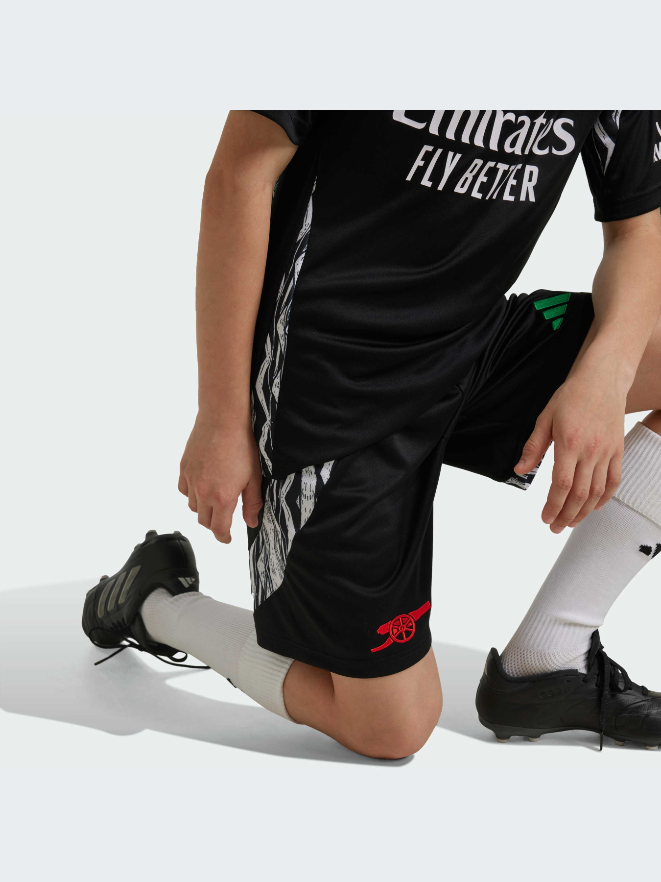 Спортивні шорти Adidas модель IS8123 Спортивні шорти Adidas модель IS8123 Фото