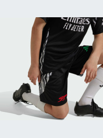 Спортивні шорти Adidas модель IS8123 Спортивні шорти Adidas модель IS8123 Фото