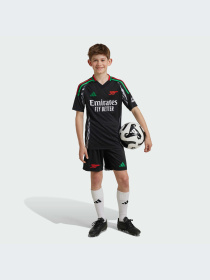 Спортивні шорти Adidas модель IS8123 Спортивні шорти Adidas модель IS8123 Фото