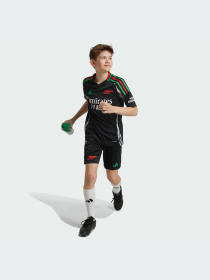 Футболка спортивная Adidas модель IS8125 Фото