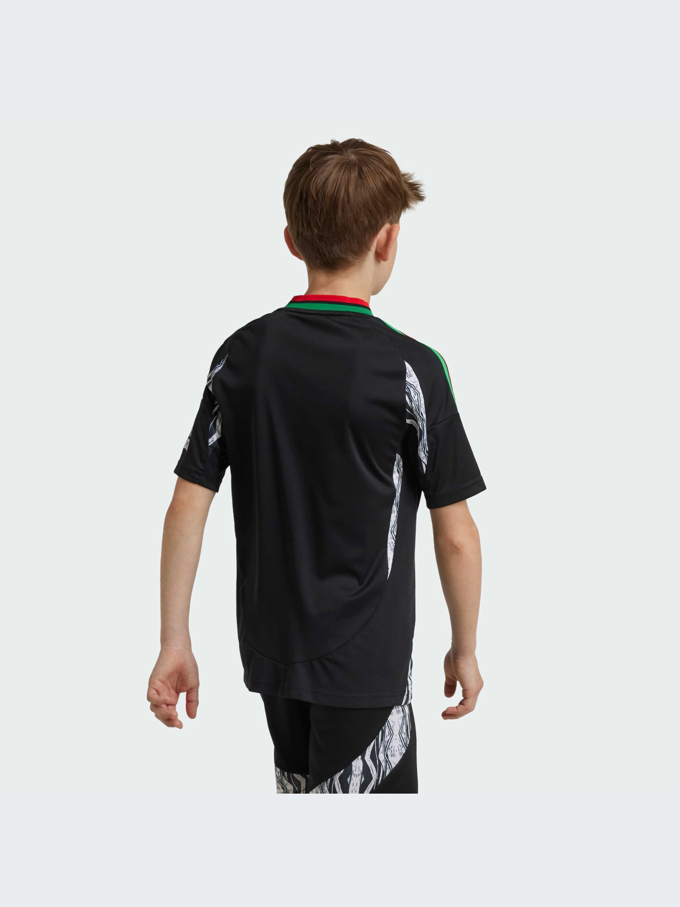 Спортивна футболка Adidas модель IS8125 Фото