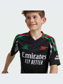 Спортивна футболка Adidas модель IS8125 Фото