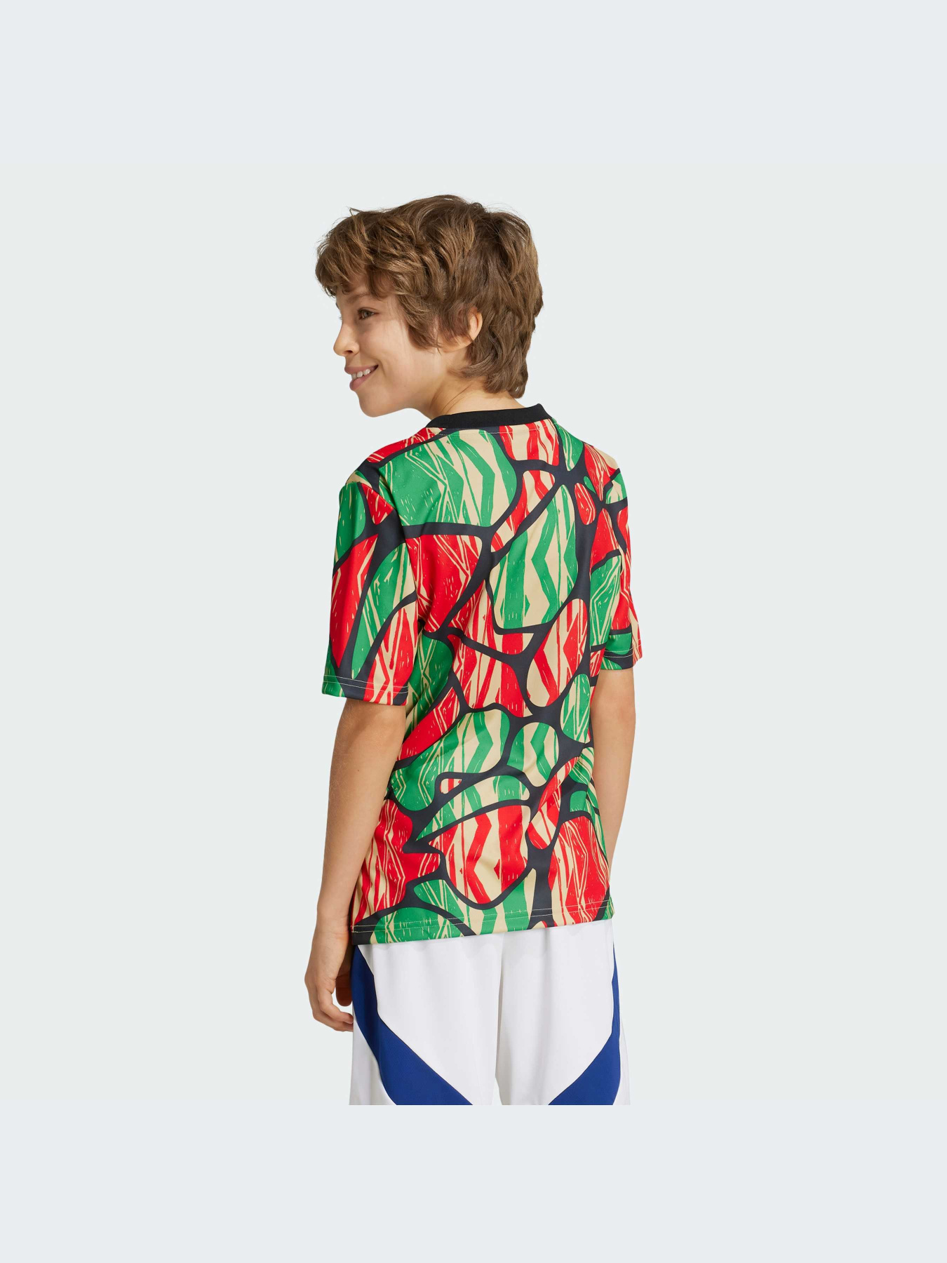 Футболка спортивная Adidas модель IS9994 Фото