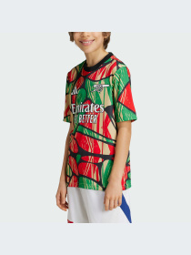 Футболка спортивная Adidas модель IS9994 Фото