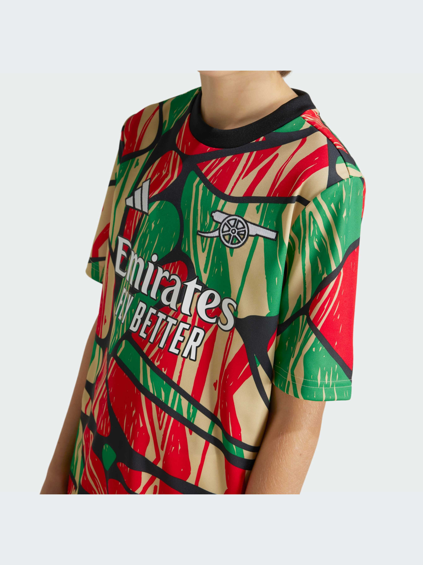 Спортивная футболка Adidas модель IS9994 Фото