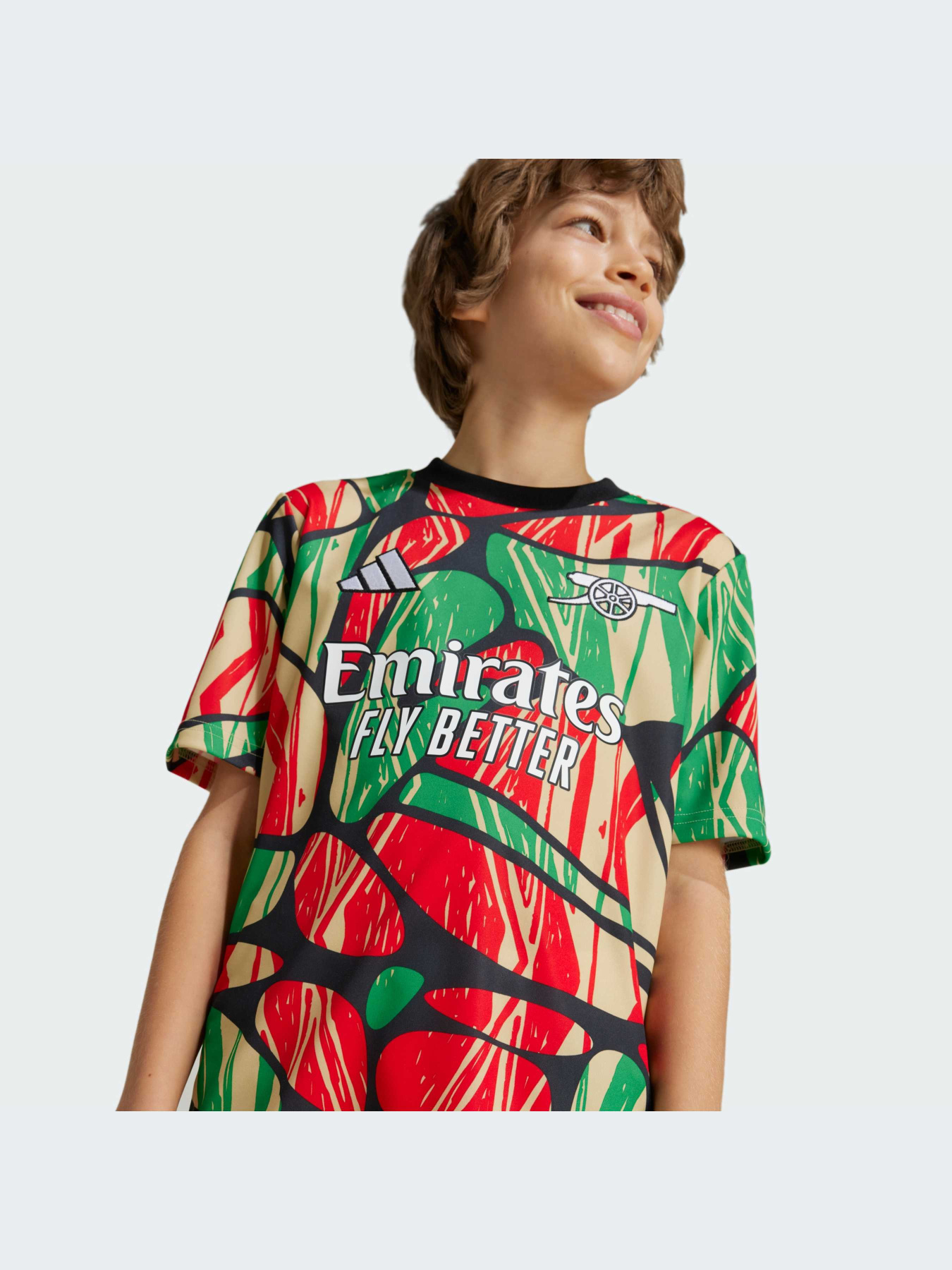 Спортивная футболка Adidas модель IS9994 Фото