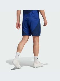 Шорты спортивные Adidas модель IU1392 Фото