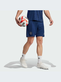 Шорты спортивные Adidas модель IU1392 Фото