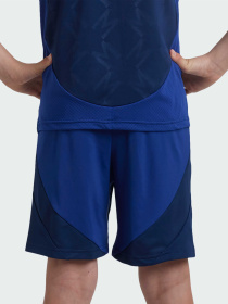 Спортивні шорти Adidas модель IT1967 Фото