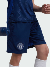 Спортивні шорти Adidas модель IT1967 Фото