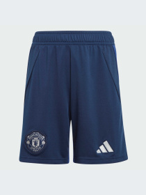 Спортивні шорти Adidas модель IT1967 Фото