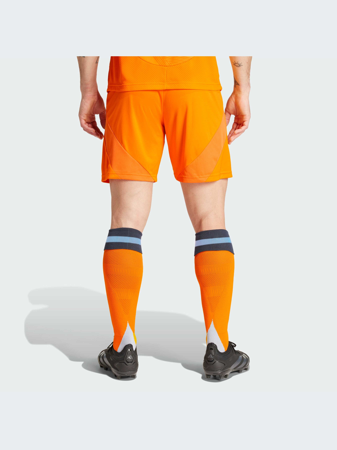 Шорты спортивные Adidas модель IU5019 Фото