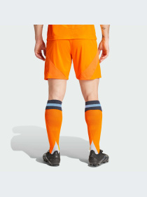 Шорты спортивные Adidas модель IU5019 Фото