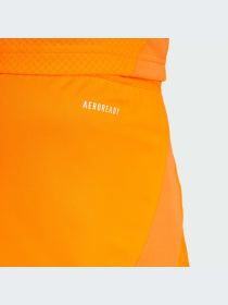 Шорты спортивные Adidas модель IU5019 Фото