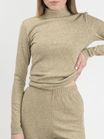 Водолазка Elegante Модель EL 13123 Фото