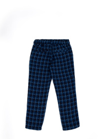 Повсякденні штани US Polo модель G083SZ080.000.1685295.DN0023 Фото