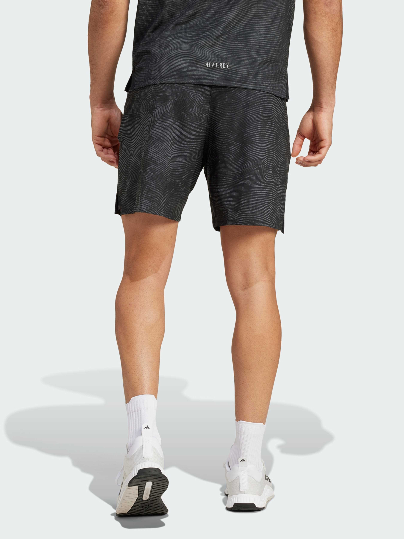 Шорти спортивні Adidas модель IV6117 Фото