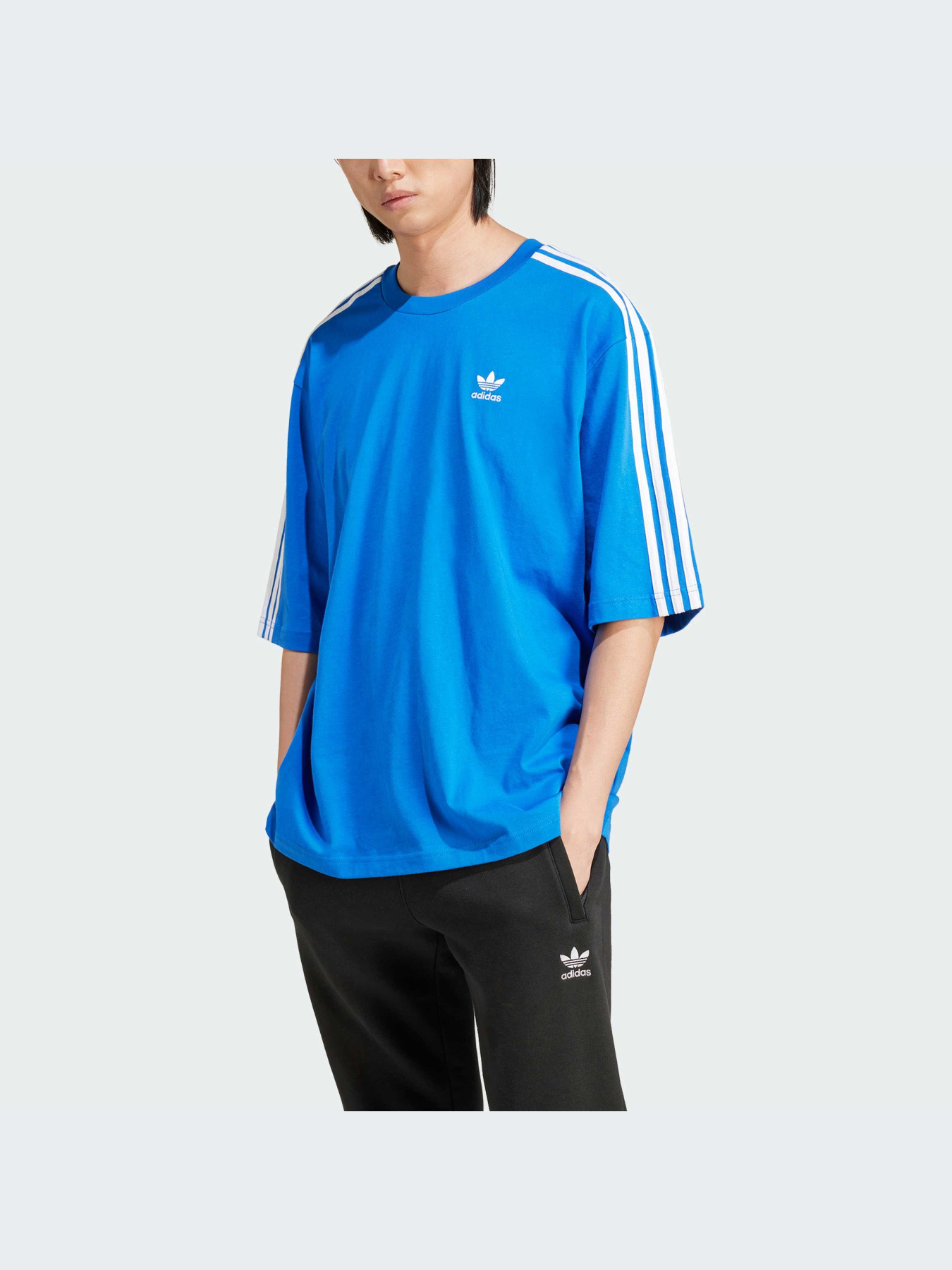 Футболка Adidas Adicolor модель IZ2481 Фото