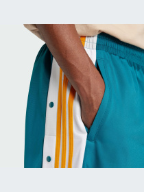 Штани повсякденні Adidas Adicolor модель IY9932 Фото