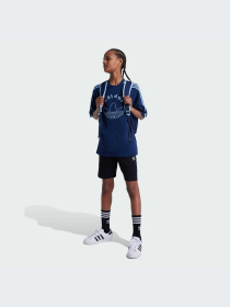 Повсякденні шорти Adidas Adicolor модель IY7481 Фото