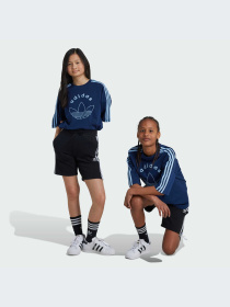 Повсякденні шорти Adidas Adicolor модель IY7481 Фото