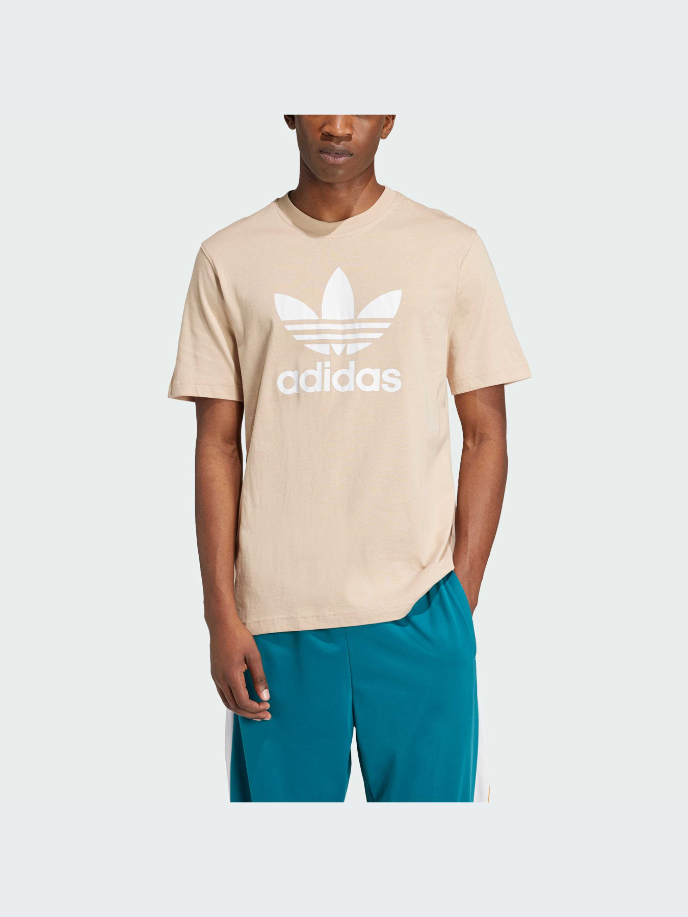 Футболка Adidas Adicolor модель IZ2351 Фото