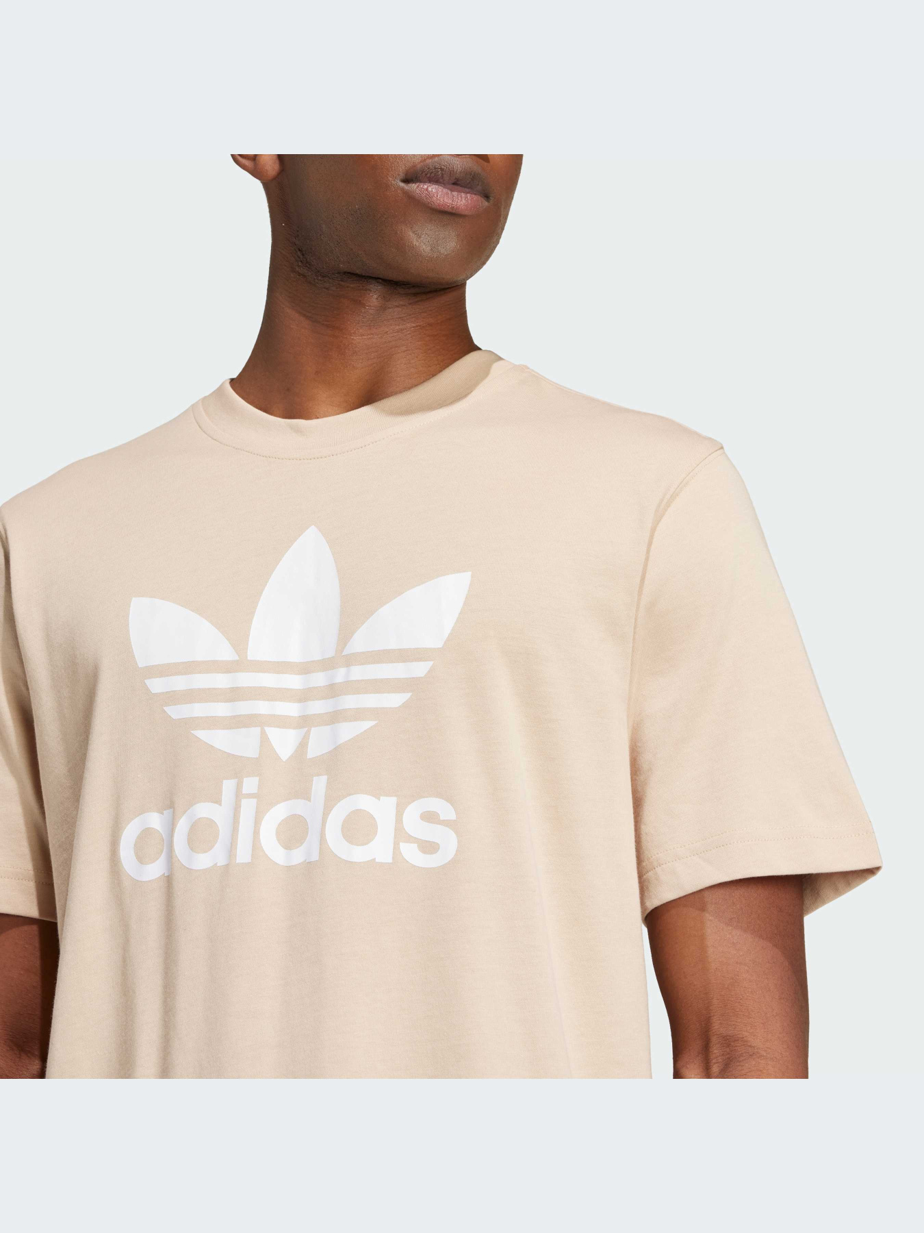 Футболка Adidas Adicolor модель IZ2351 Фото