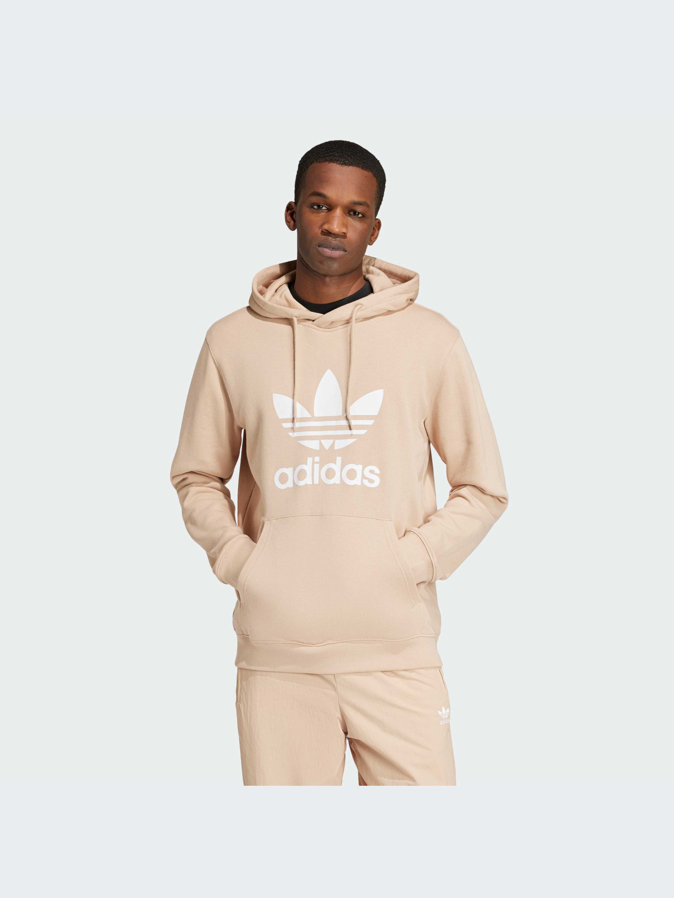 Худи Adidas Adicolor модель IZ2359 Фото