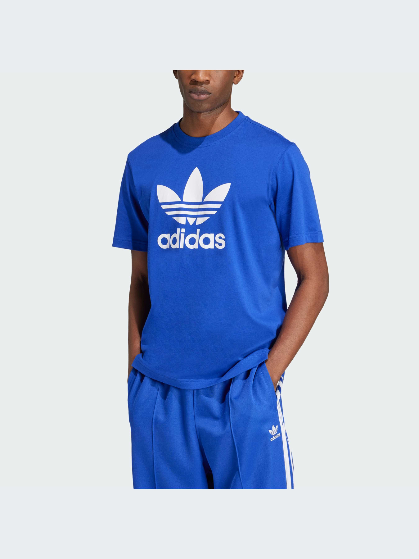 Футболка Adidas Adicolor модель IZ3058 Фото