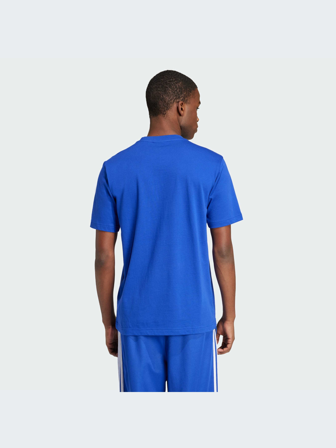 Футболка Adidas Adicolor модель IZ3058 Фото