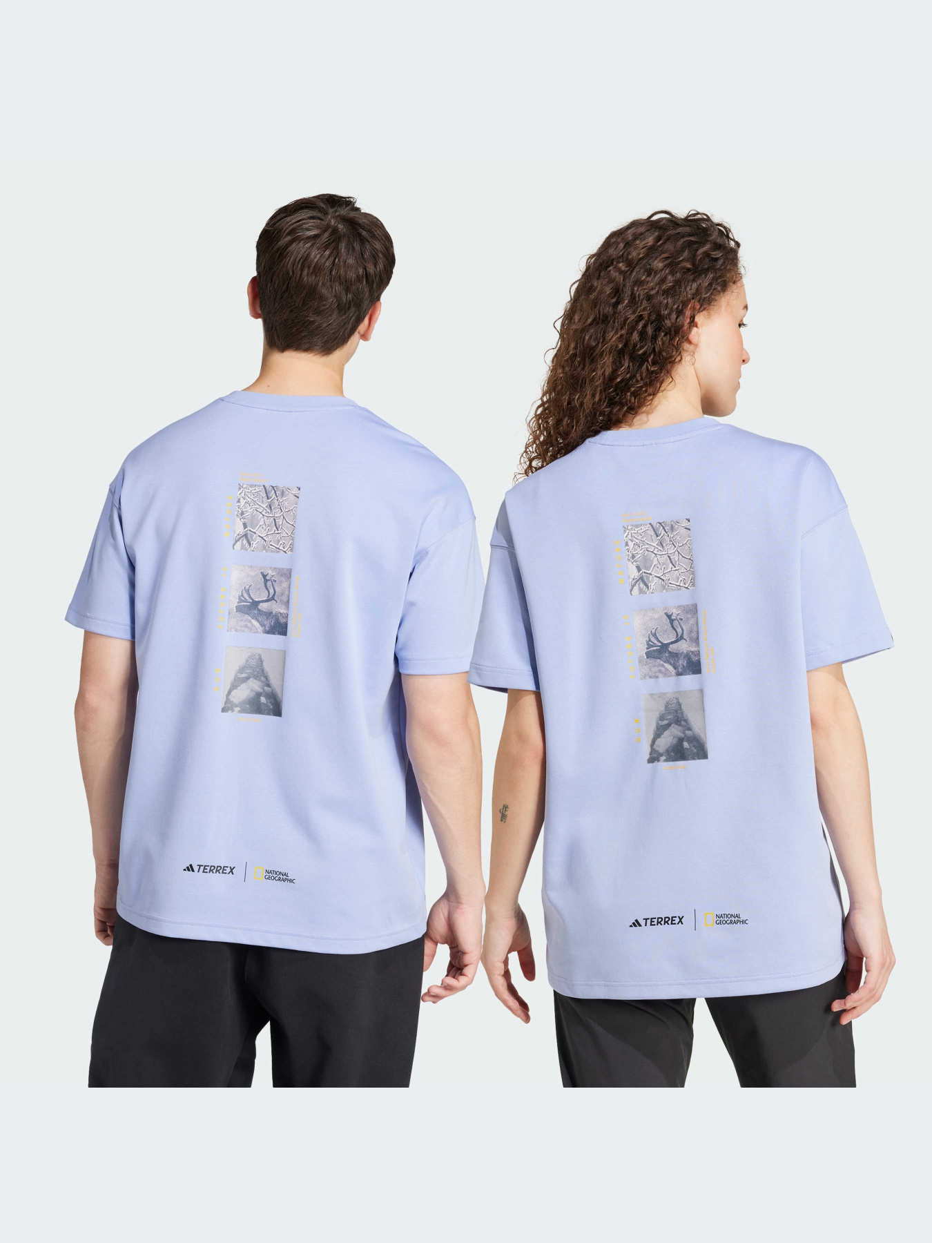 Спортивна футболка Adidas модель IX5615 Фото