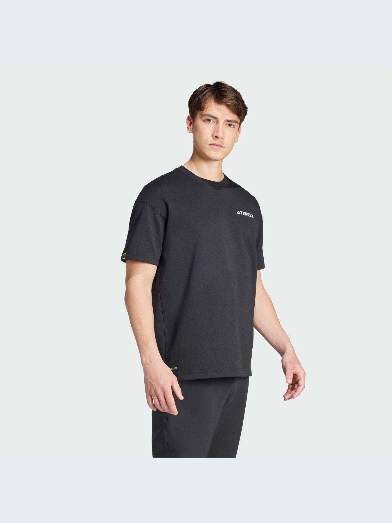 Спортивная футболка Adidas модель IX6565 Фото