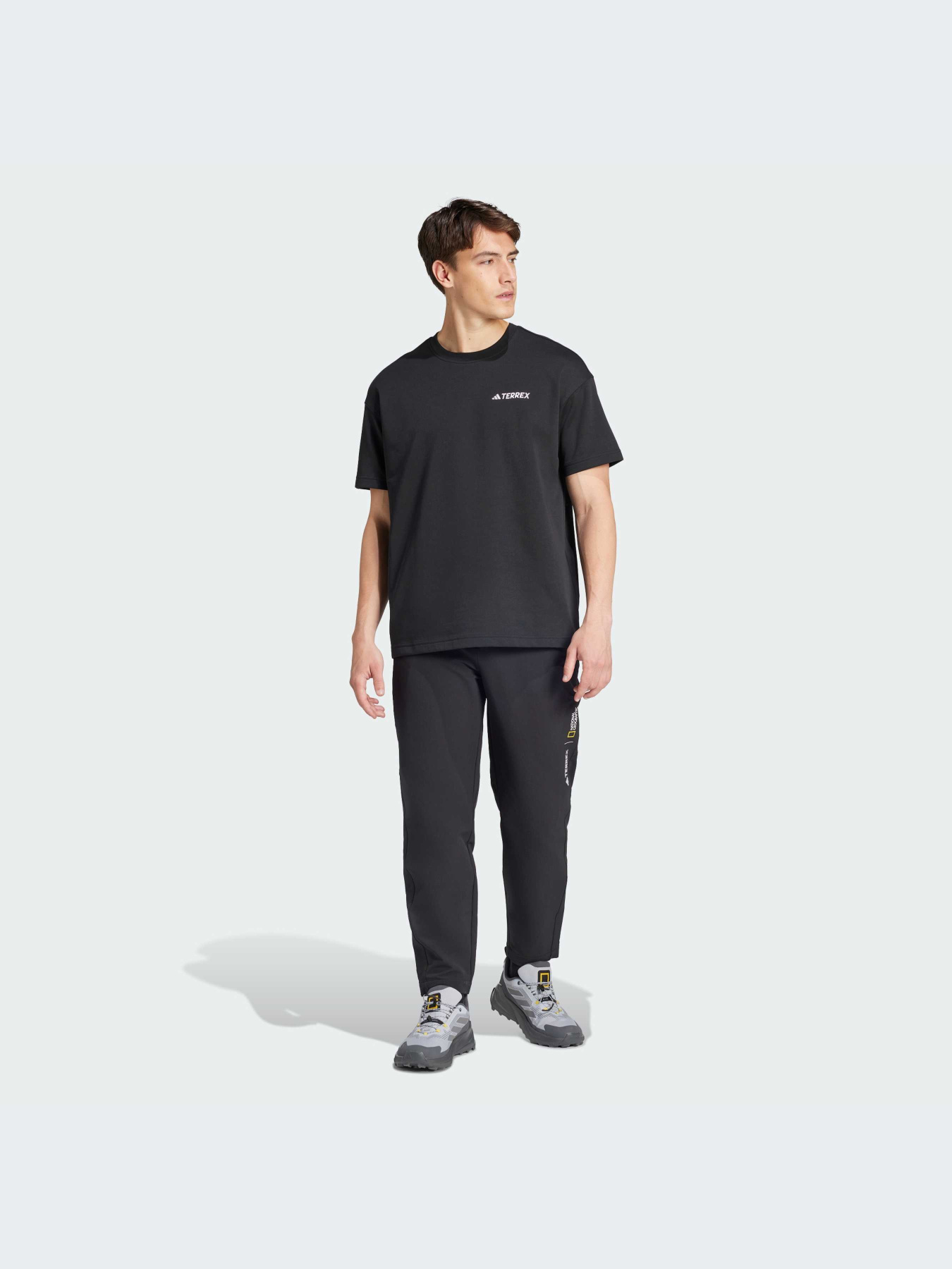 Спортивная футболка Adidas модель IX6565 Фото