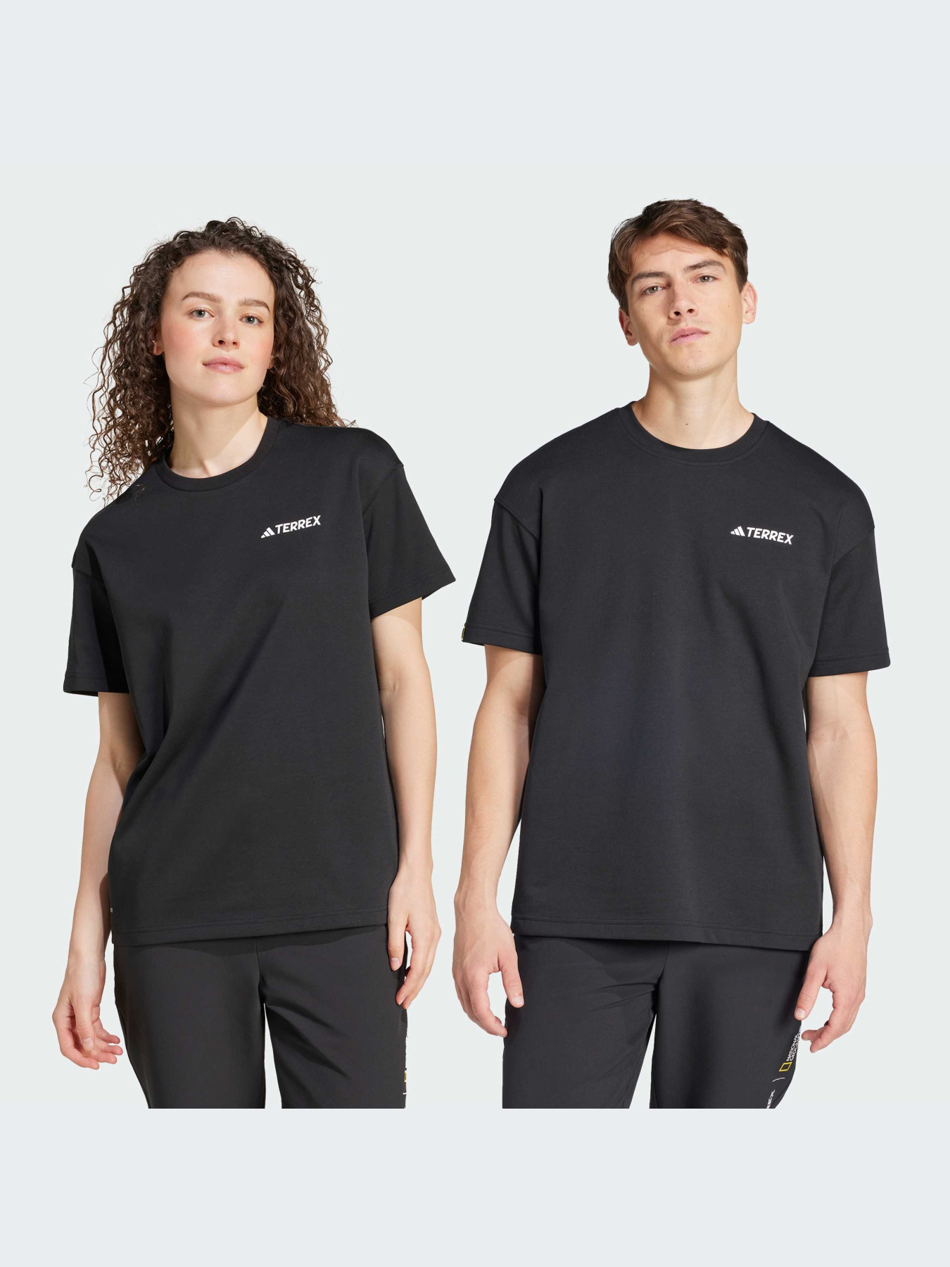 Спортивная футболка Adidas модель IX6565 Фото