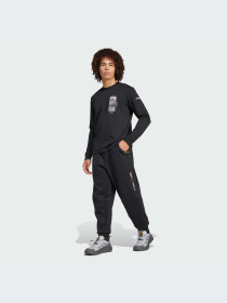 Спортивная кофта Adidas модель IX5613 Фото