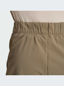 Шорты спортивные Adidas модель IJ8303 Фото