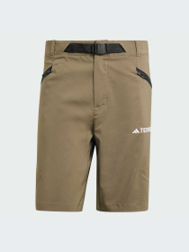 Шорты спортивные Adidas модель IJ8303 Фото