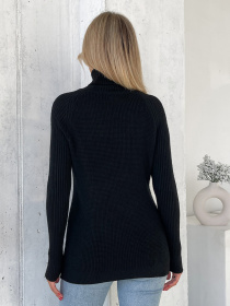 Водолазка ISSA Plus модель WN20-573_черный Фото