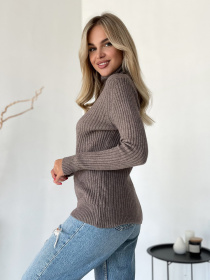 Водолазка ISSA Plus модель WN20-575_темно_бежевый Фото